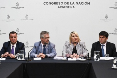 Prórroga del subrégimen industrial: "Sabemos que no es un camino fácil", dijo Bertone