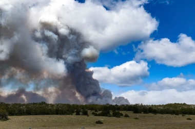 Gobierno despliega operativo tras confirmar incendio forestal en la zona del Paso Bellavista