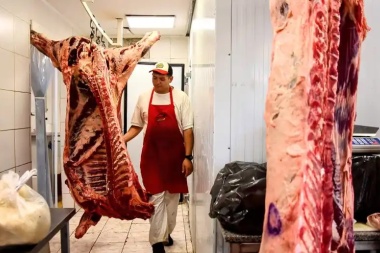 “Aceptar que destruyan la barrera sanitaria que nos llevó 20 años construir es entregar la Patagonia”