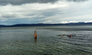 Winter Swimming, una forma de unir el mundo