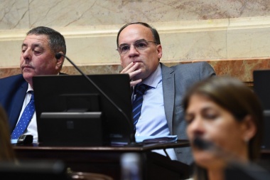 Blanco: "Presidente, le pido que revise y deje sin efecto los despidos en ANSES y PAMI"