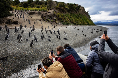 El turismo masivo a la Antártida y los riesgos en Ushuaia, según un artículo del New York Times