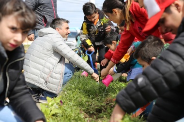 Vecinos que planten árboles en los frentes de sus casas tendrán descuento impositivo