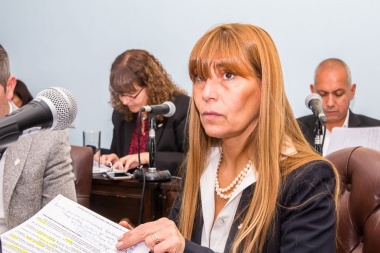 "Día de los derechos del niño por nacer": Para Boyadjian se logró el "respeto hacia la vida"