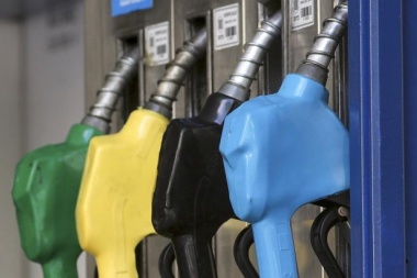 Postergan la actualización de un impuesto para que no suba el precio de la nafta