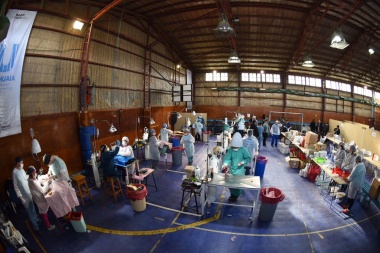 Se realizará una doble jornada de castración masiva en Ushuaia