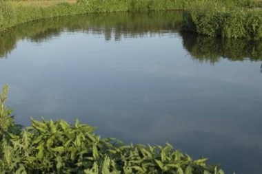 Logran la restauración hidrológica de humedales impactados por actividades productivas