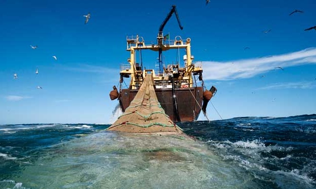 En Tierra del Fuego la actividad pesquera cayó un 11% respecto a mayo de  2015 - Critica Sur