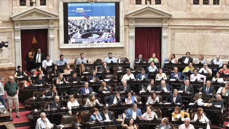 La Cámara de Diputados comenzó el tercer día de debate del proyecto de ...