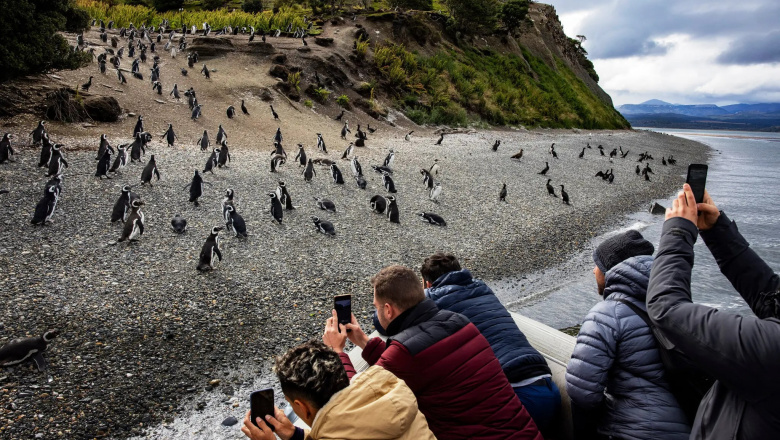 El turismo masivo a la Antártida y los riesgos en Ushuaia, según un artículo del New York Times