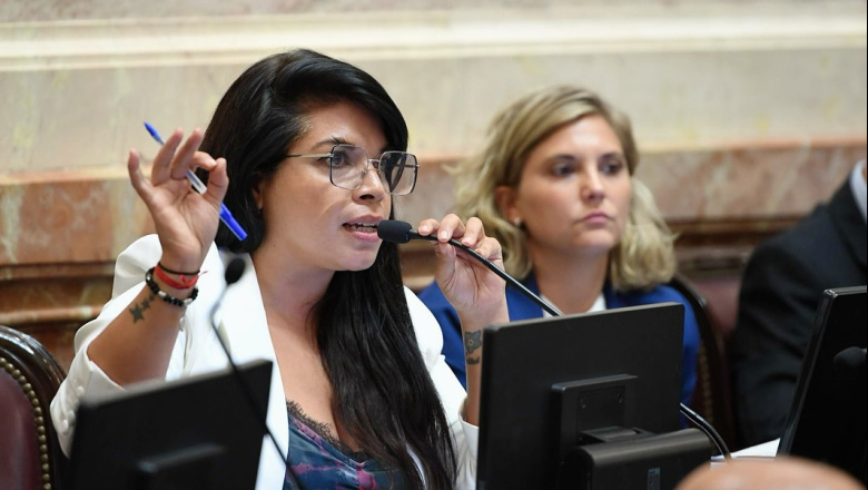 “El Gobierno de Milei tiene que explicar qué piensa hacer con la Ley de Promoción Industrial”