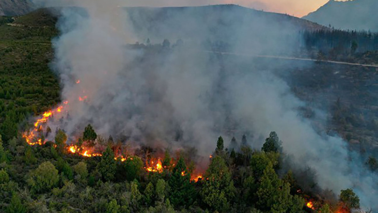 Incendios forestales en la Patagonia: el fuego arrasó más de 31 mil hectáreas, según un informe