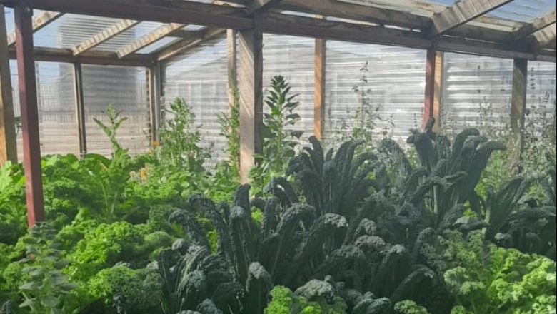 La Fundación Mirgor e INTA Río Grande impulsan la agroecología en el 'Mes del Medio Ambiente'