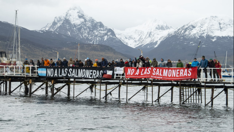 Legisladores analizarán proyectos libertarios para autorizar la instalación de salmoneras en Tierra del Fuego
