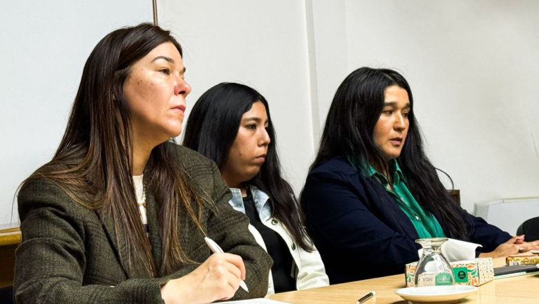 La Justicia absolvió a la mujer acusada de matar a su pareja y simular ...