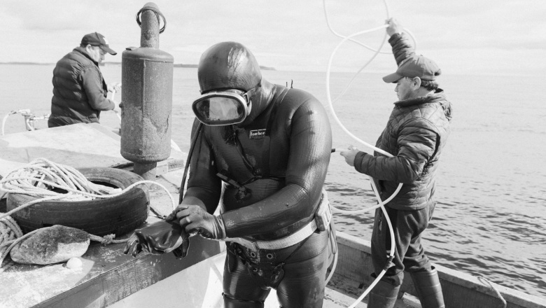 El drama de los trabajadores salmoneros en Chile