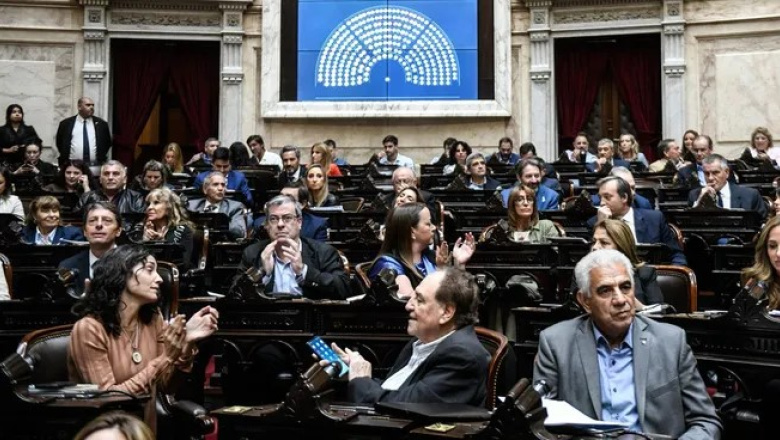 Diputados oficializaron convocatoria contra los vetos de Milei a universidades y salud pediátrica