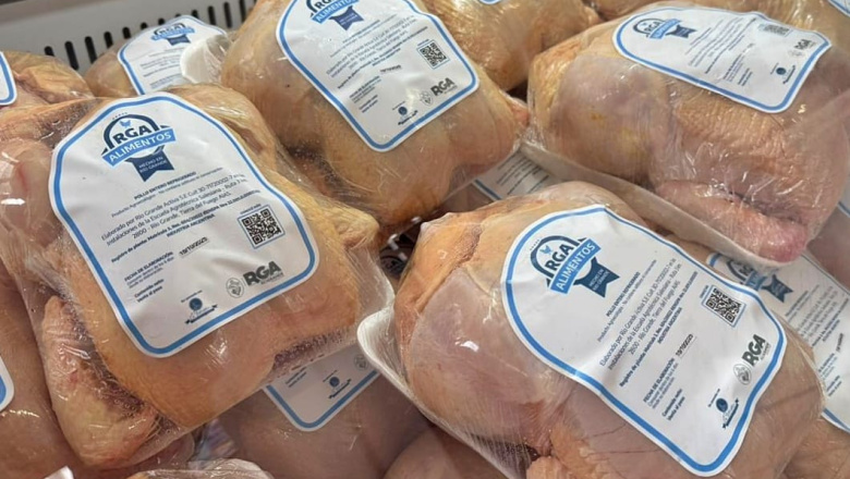 Pollos de ‘RGA Alimentos’ ya están distribuidos en carnicerías y pollerías de toda la provincia