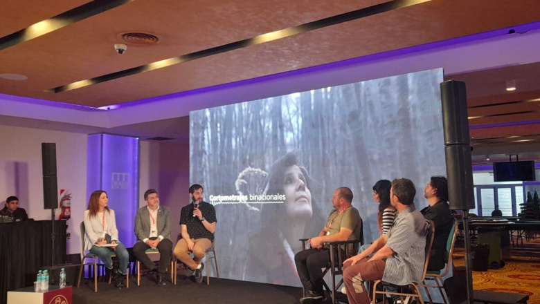 Tierra del Fuego participó del 40° Festival Internacional de Cine de Mar del Plata