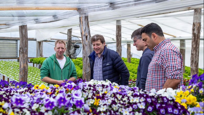“Son un ejemplo de ingenio y trabajo”: Melella visitó emprendimiento de flores comestibles en Tolhuin