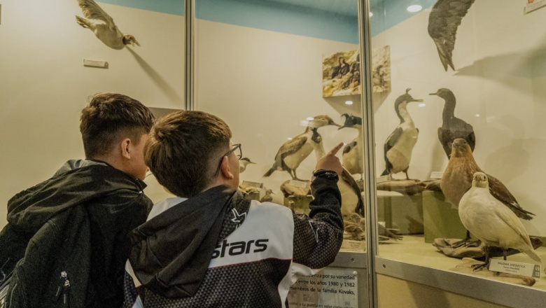 Por las vacaciones de verano, el ‘Museo del Fin del Mundo’ ofrecerá actividades para todas las edades