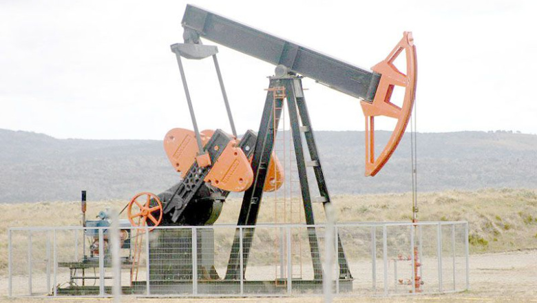 Terra Ignis evalúa ofertas privadas para operar como socias en tres áreas petroleras