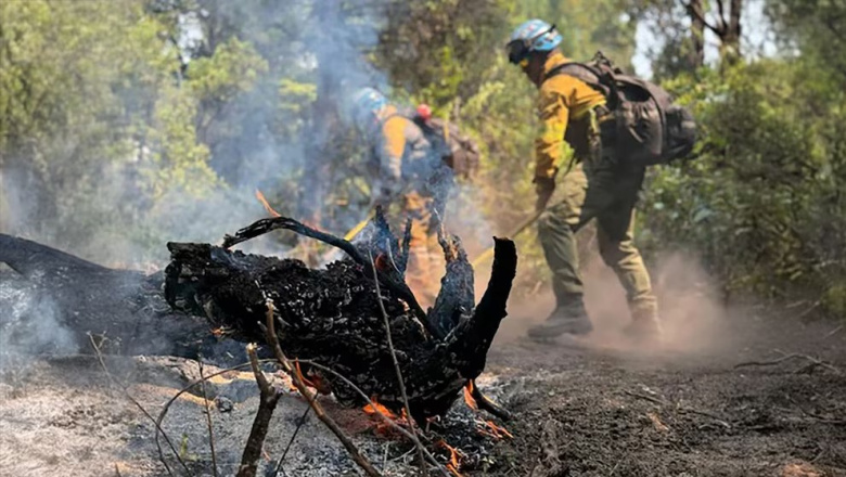 Incendios en Chubut: el viento reavivó las llamas en algunos puntos y amenaza zonas habitadas