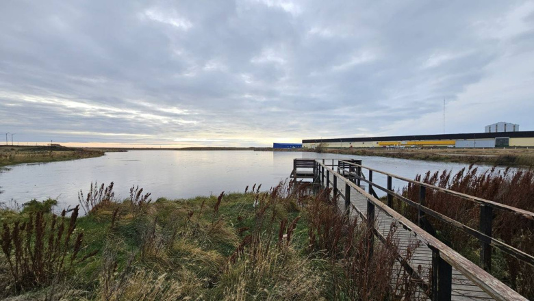 El Municipio de Río Grande se suma a proyecto que busca proteger bosques y humedales de Tierra del Fuego