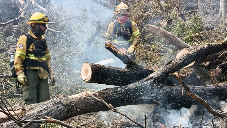 Tierra del Fuego envió brigadistas para combatir el incendio en el Parque Nacional Los Alerces