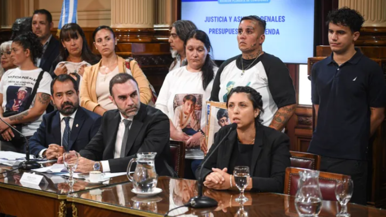 El Régimen Penal Juvenil ya tiene dictamen en el Senado