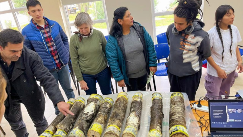 Anuncian la “IV Jornada de Hongos Comestibles en Tierra del Fuego”