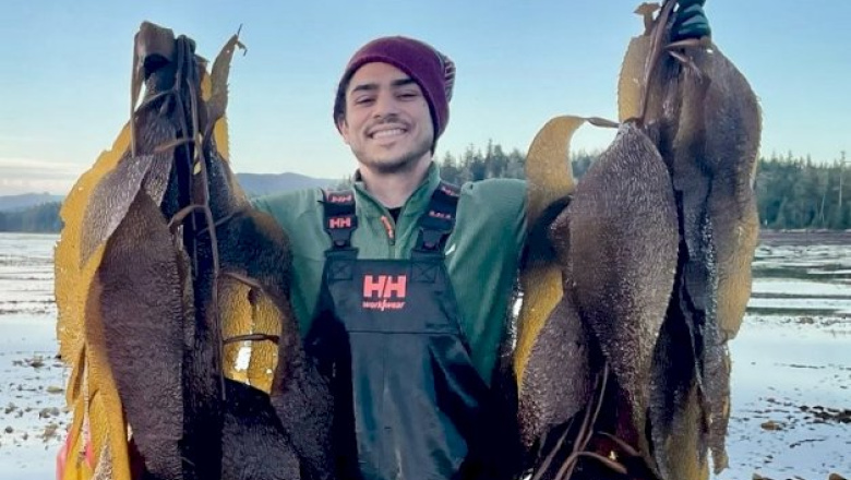 Saberes ancestrales de Vancouver sobre el alga kelp: ¿un modelo posible para Tierra del Fuego?