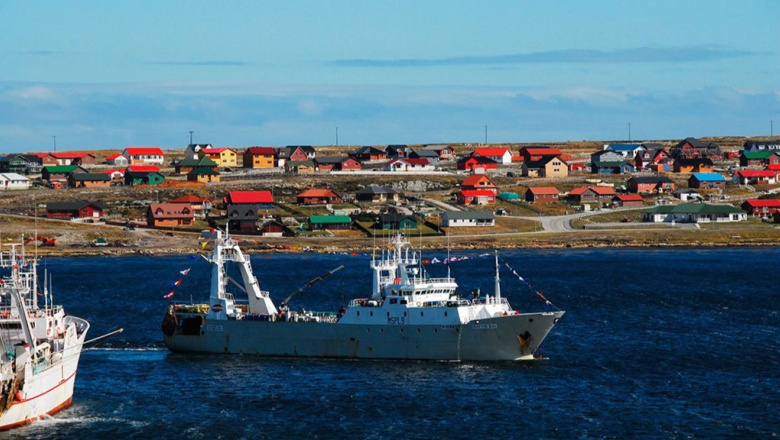 Denuncian una extracción masiva de recursos pesqueros argentinos en las Islas Malvinas