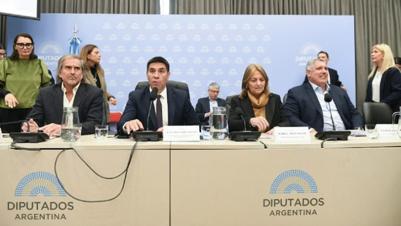 El Gobierno avanza en Diputados con la reducción de subsidios al gas por Zonas Frías