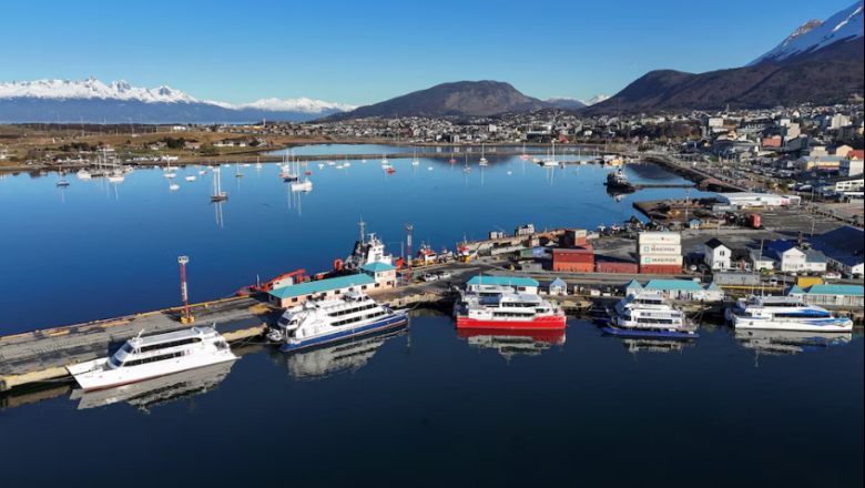 Captura de roedores, trampas y rastreo epidemiológico: así es el operativo del Malbrán que ya comenzó en Ushuaia por el hantavirus