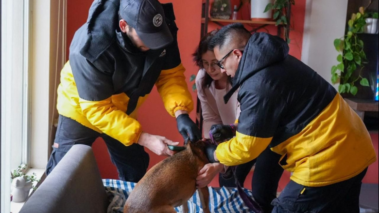 Servicios veterinarios: el Municipio refuerza la atención en los barrios de Río Grande