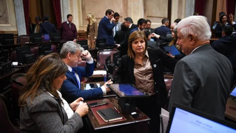 Se cayó la reforma de la ley de Tierras de Milei: qué pasó y cómo reaccionaron en el Senado