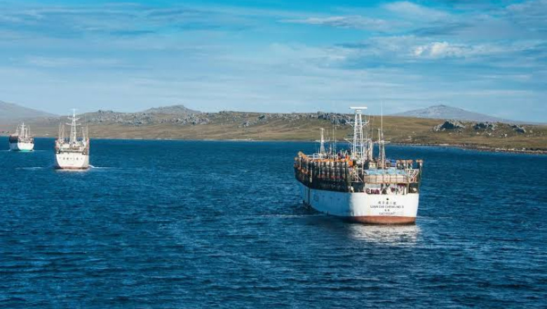 Del calamar al petróleo: cómo el Reino Unido consolida la explotación ilegal de Malvinas
