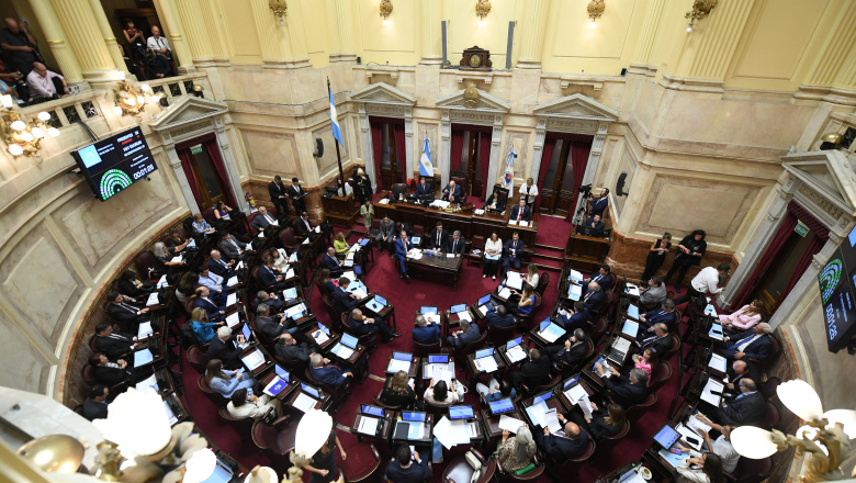 Polémica en el Senado: las dietas llegarán a los $12 millones pese al rechazo de varios bloques