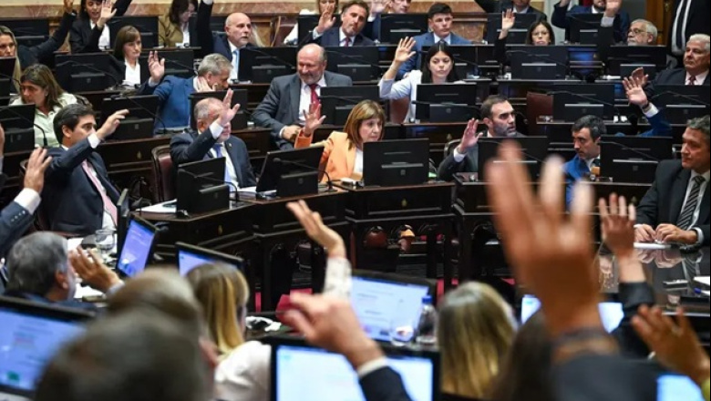 Tensión en el Senado: se le complican al oficialismo los números para aprobar la extranjerización de tierras