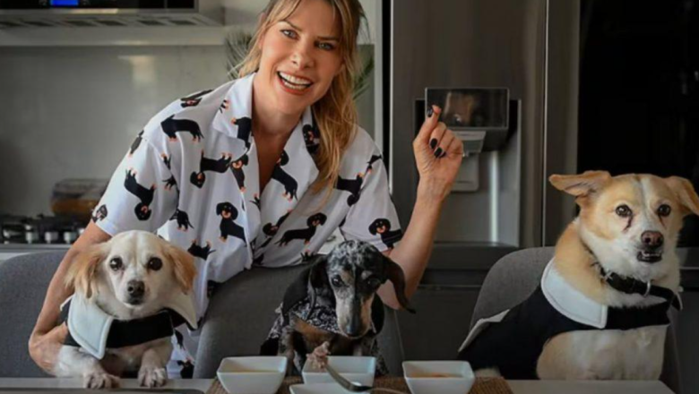 Cómo es el polémico proyecto de Karen Reichardt para regular criaderos de perros y gatos