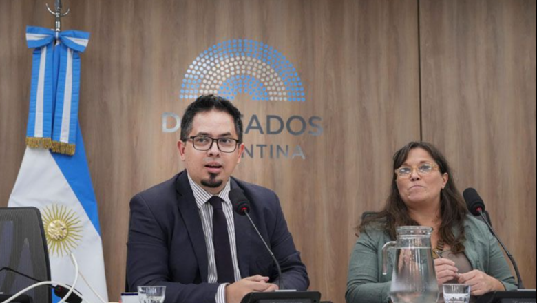 Pauli dijo que "sería mucho más útil en un estamento ejecutivo que en un estamento legislativo"