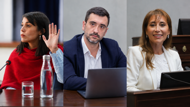 El voto fueguino en el Senado: Coto y Monte de Oca a favor, López en contra