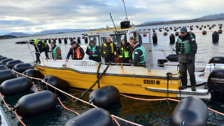 Tierra del Fuego potencia la acuicultura: proyecta producir hasta 1.500 toneladas de mejillones