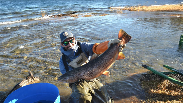 Tierra del Fuego trabaja en el repoblamiento de ríos y lagos para la temporada de pesca deportiva
