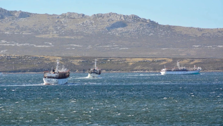 Denuncian por contrabando a pesqueras que operan en el Atlántico Sur bajo licencias británicas