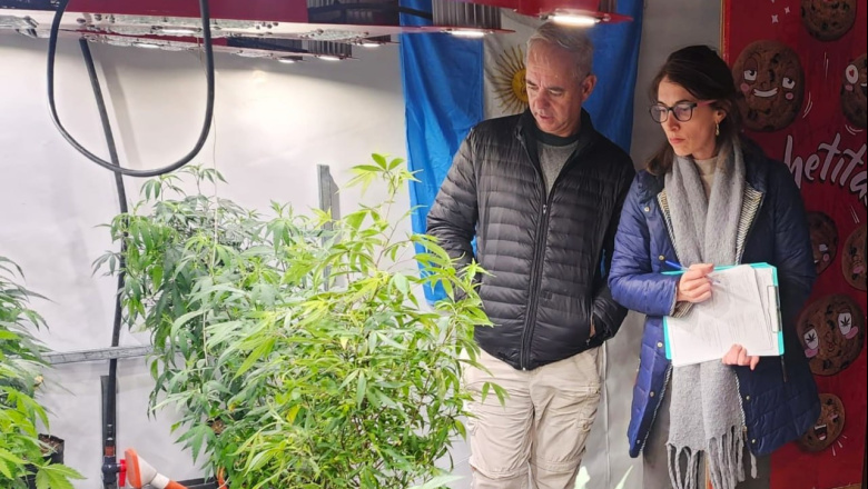 Destacan el nivel técnico y el potencial del cultivo de cannabis medicinal en Tierra del Fuego