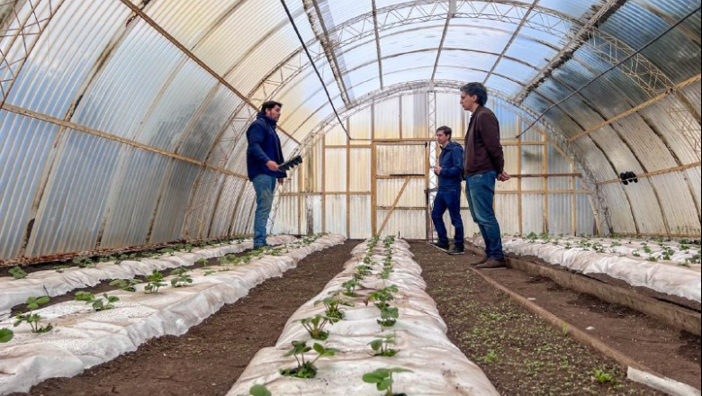 La Chacra Agroexperimental da un salto junto al Municipio para producir alimentos en Tierra del Fuego