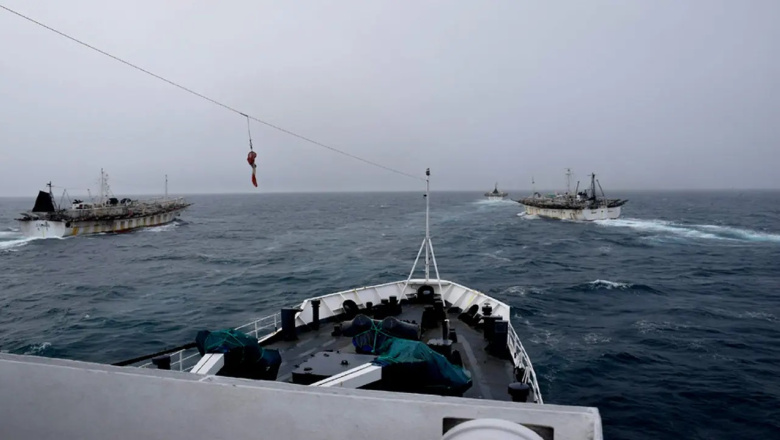 Pesca ilegal: China, Malvinas y Uruguay, unidos en un negocio que saquea aguas argentinas