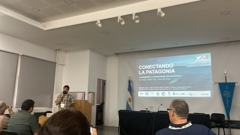 Tiburones fueguinos en el primer Congreso Argentino de Ictiología